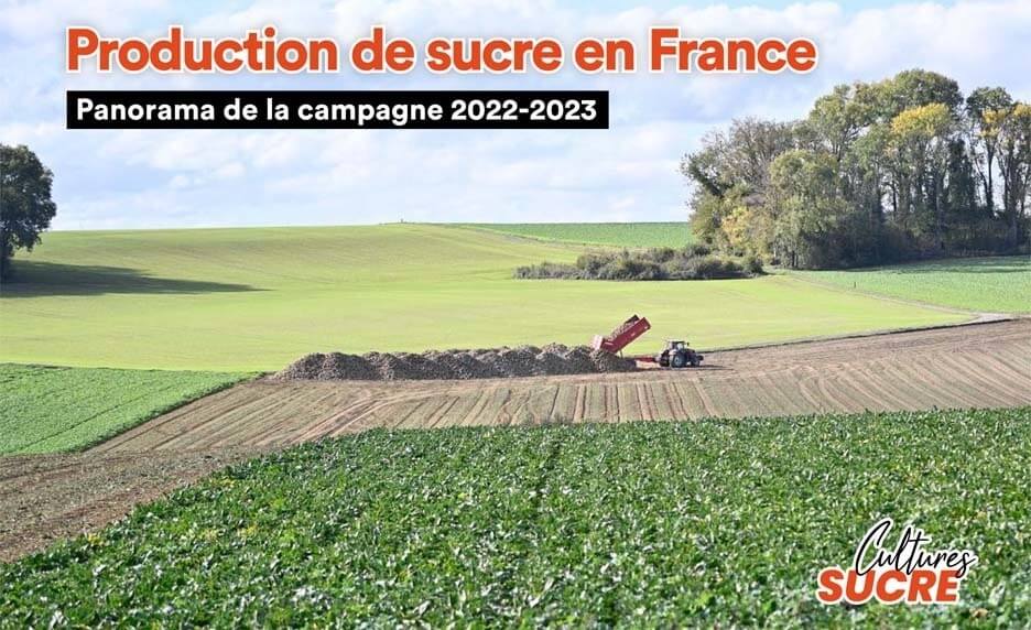 panorama-campagne-sucriere-2023